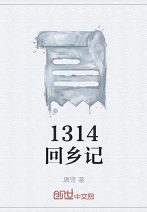 1314回乡记" width="120" height="150"