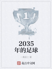 2035年的足球" width="120" height="150"