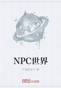 NPC世界" width="120" height="150"