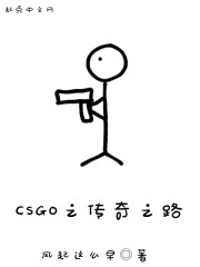 CSGO之传奇之路" width="120" height="150"