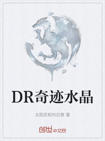 DR奇迹水晶" width="120" height="150"