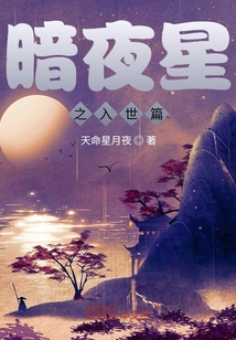 暗夜星之九转混沌塔篇