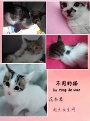 不同的猫" width="120" height="150"