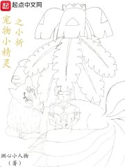 宠物小精灵之小析" width="120" height="150"