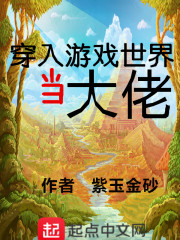 穿入游戏世界当大佬" width="120" height="150"