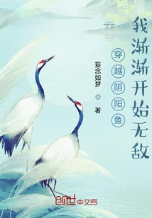 穿越阴阳鱼，我渐渐开始无敌" width="120" height="150"