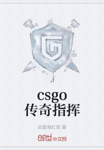 csgo传奇指挥