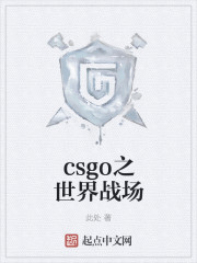 csgo之世界战场