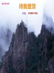 待我登顶" width="120" height="150"