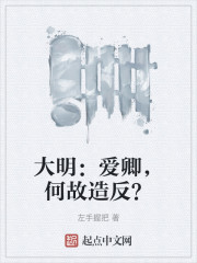 大明：爱卿，何故造反？" width="120" height="150"