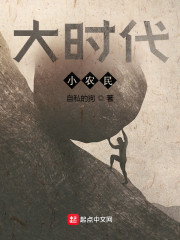 大时代小农民