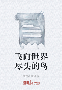 飞向世界尽头的鸟" width="120" height="150"