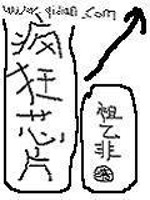 疯狂芯片" width="120" height="150"