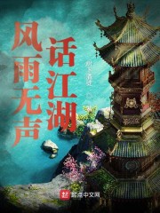 风雨无声话江湖" width="120" height="150"