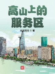 高山上的服务区" width="120" height="150"