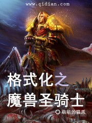 格式化之魔兽圣骑士" width="120" height="150"