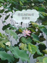 荷花池的秘密" width="120" height="150"