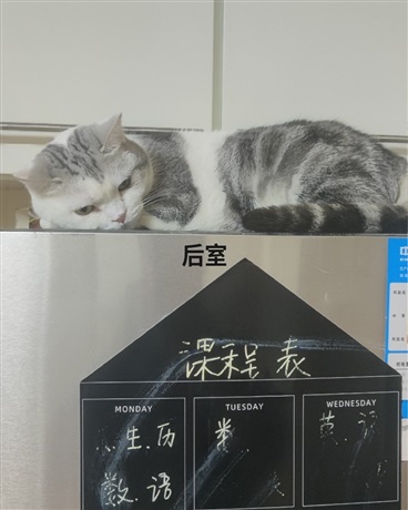 后室猩红客R2022是同人" width="120" height="150"