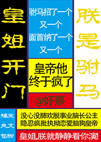 皇姐开门，朕是驸马" width="120" height="150"