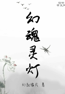 幻魂灵灯" width="120" height="150"