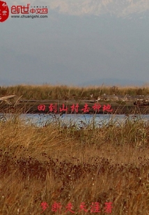 回到山村去种地