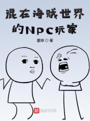 混在海贼世界的NPC玩家