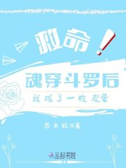 救命！魂穿斗罗后我成了一枚皮蛋" width="120" height="150"