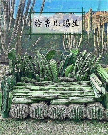 开局一粒种" width="120" height="150"