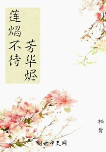 莲焰不待芳华烬" width="120" height="150"