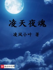 凌天夜魂" width="120" height="150"