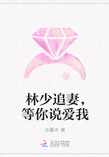 林少追妻，等你说爱我