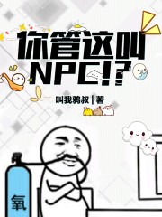 你管这叫NPC！？" width="120" height="150"