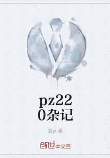 pz220杂记" width="120" height="150"