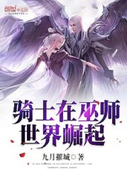 骑士在巫师世界崛起" width="120" height="150"