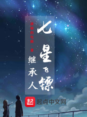 七星飞镖继承人" width="120" height="150"