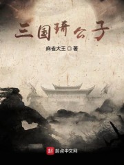 三国奇公子" width="120" height="150"