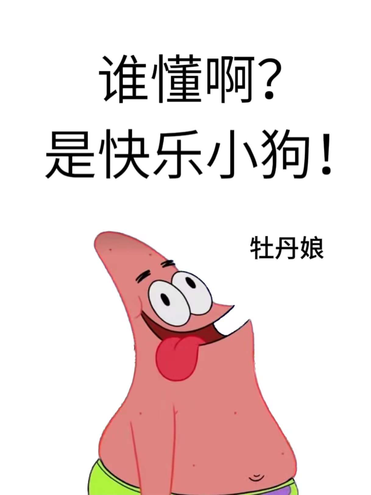 谁懂啊？是快乐小狗！" width="120" height="150"