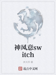 神风意switch" width="120" height="150"