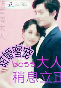 甜婚蜜宠boss大人，稍息立正