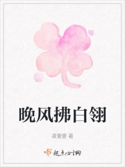 晚风拂白翎" width="120" height="150"