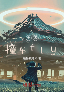 王者：撞车fly