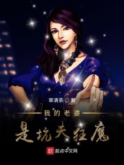 我的老婆是坑夫狂魔