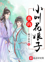 我的小叫花娘子" width="120" height="150"