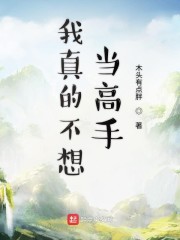 我真的不想当高手" width="120" height="150"