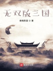 无双版三国" width="120" height="150"