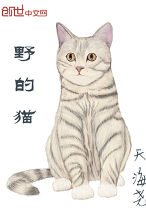 野的猫" width="120" height="150"