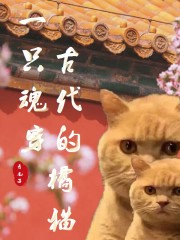 一只魂穿古代的橘猫" width="120" height="150"