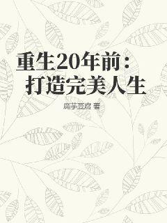 重生20年前：打造完美人生