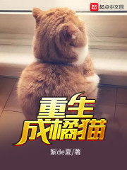 重生成橘猫" width="120" height="150"