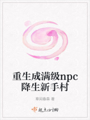 重生成满级npc降生新手村